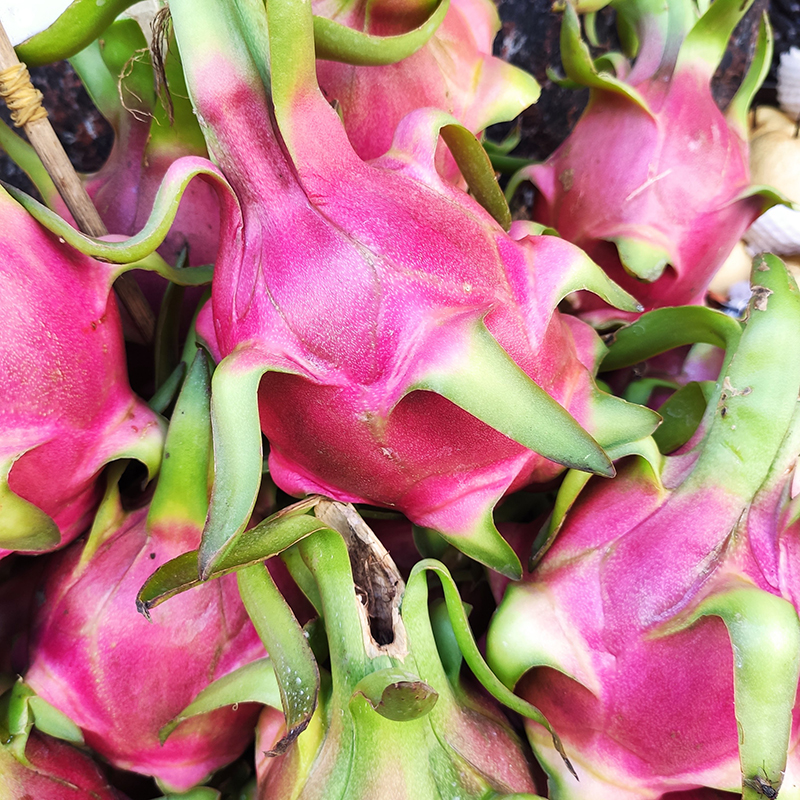 Thanh long ruột trắng (1 trái)